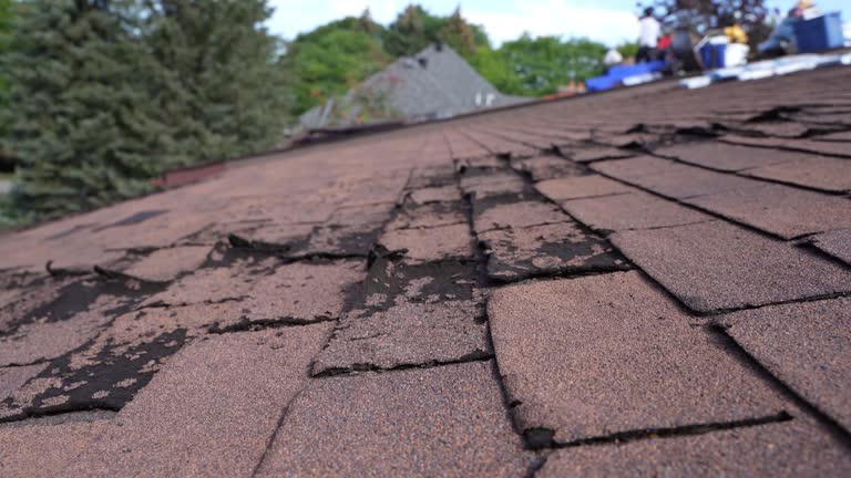 Best Green or Eco-Friendly Roofing Solutions  in Lisbon, OH